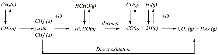 Figure 2: Catalytic oxidation mechanism for methane (a) adsorbed, (g) gas phase
